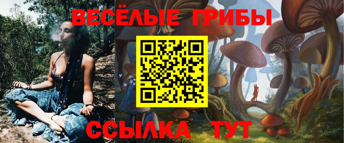 Галлюциногенные грибы GOLDEN TEACHER Алапаевск