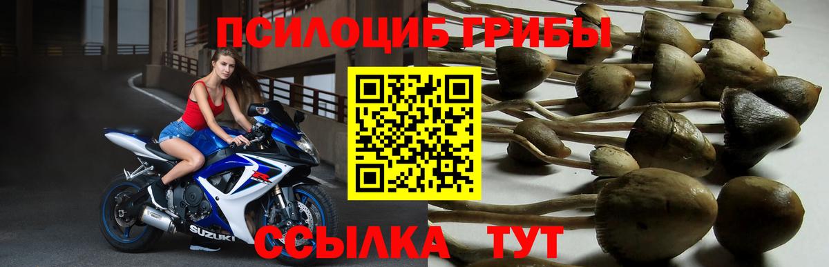 Галлюциногенные грибы Magic Shrooms  Псилоцибиновые грибы Cubensis  Вход с VPN  Алапаевск 